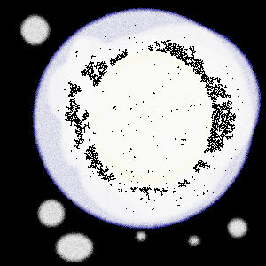 IMG_000027.jpg ( 22 KB ) with PictureBBS